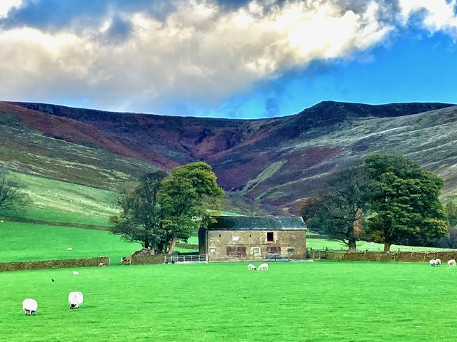 Scenic view of a luxury cottage surrounded by lush green fields and rolling hills, ideal for a tranquil getaway