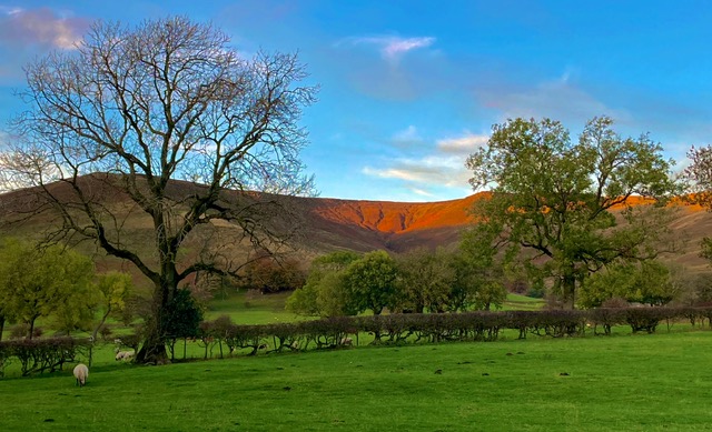 Scenic view of rolling hills and trees at Dunelm Cottage, showcasing lush greenery and vibrant sunset colors
